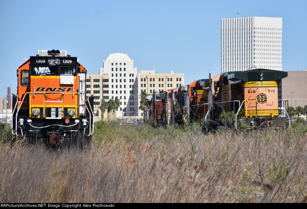 Galveston deadline